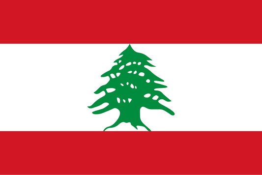 eSIM Lebanon